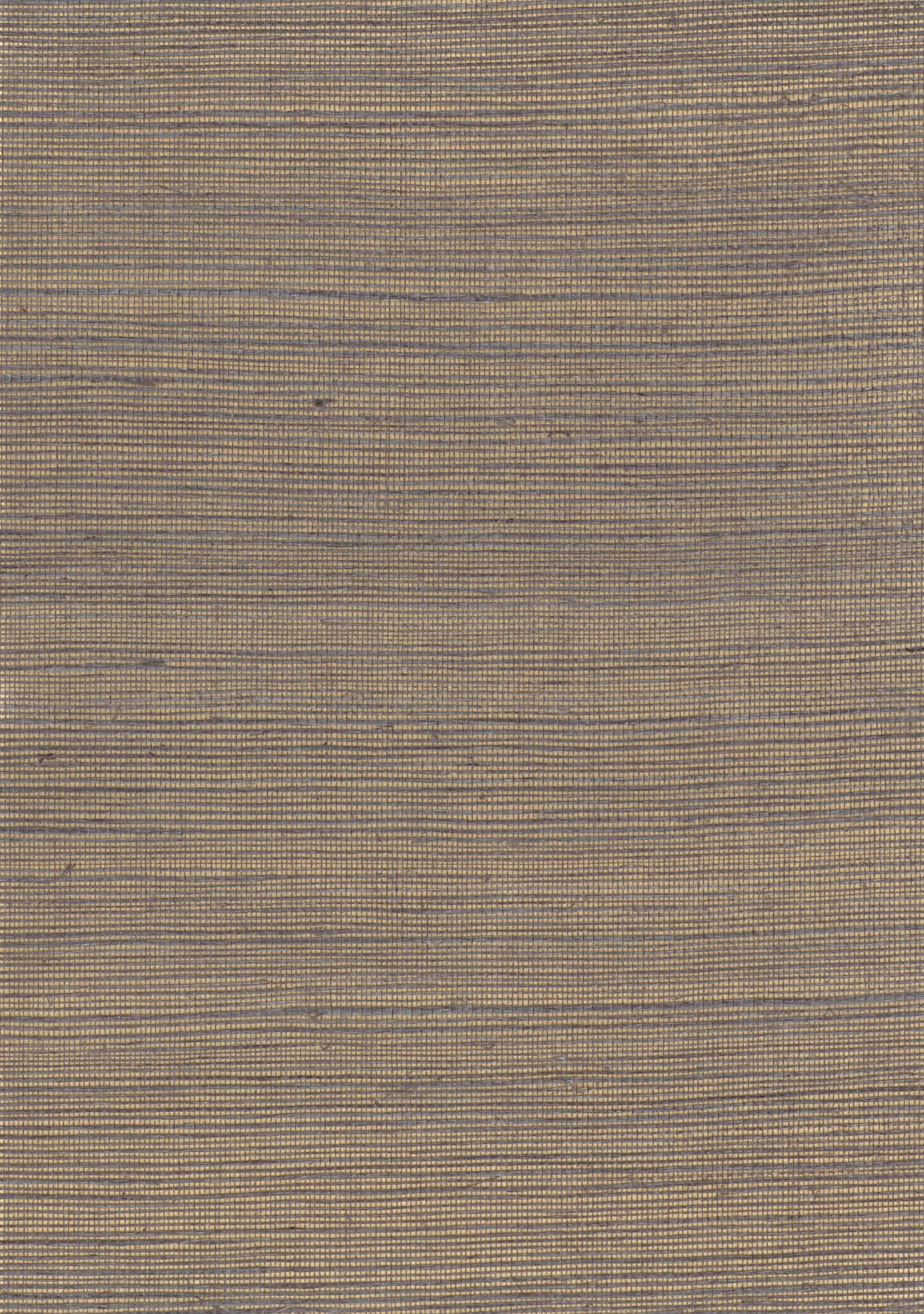 NICHOLASJOHN INC. Natural - Textured Wallcoverings SISAL      - NJ25NS2020