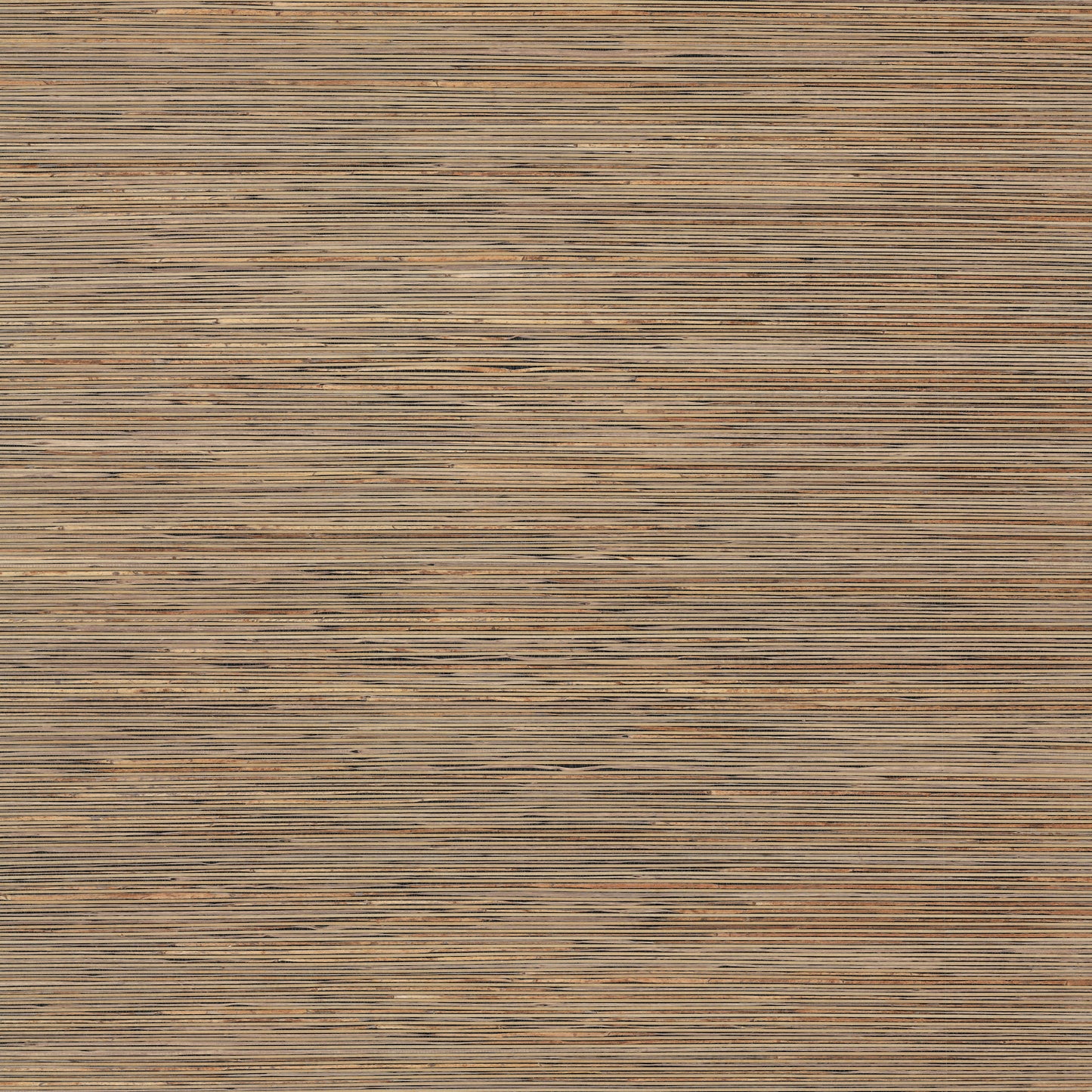 York Wallcoverings Natural Discovery Bamboo Black Hemp Blend Wallpaper  Grasscloth Browns   - NT6101