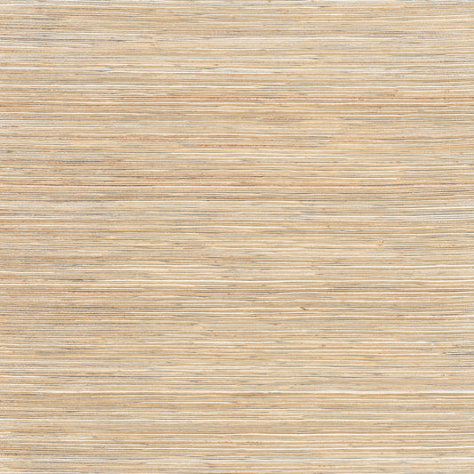 York Wallcoverings Natural Discovery Bamboo White Hemp Blend Wallpaper  Grasscloth Whites and Off-Whites   - NT6103