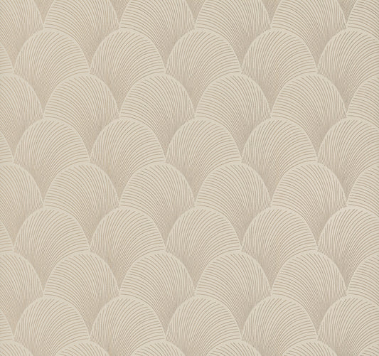 York Wallcoverings Natural Discovery Metallic Beige Gold Scallop Wallpaper Glam Foil Beiges   - NT6107