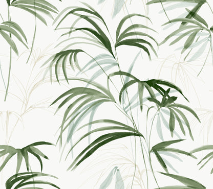 York Wallcoverings Natural Discovery Inky Green Palms Wallpaper Tropical Botanical Greens   - NT6121