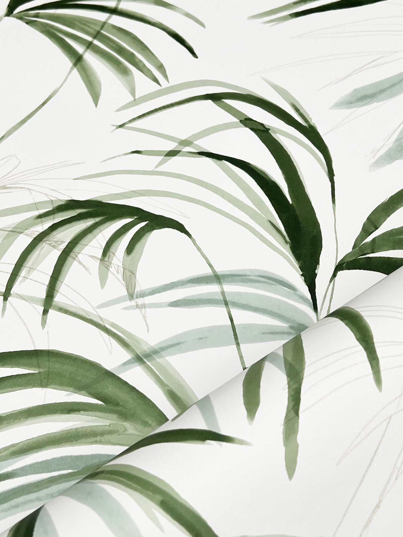 York Wallcoverings Natural Discovery Inky Green Palms Wallpaper Tropical Botanical Greens   - NT6121