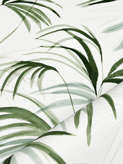 York Wallcoverings Natural Discovery Inky Green Palms Wallpaper Tropical Botanical Greens   - NT6121