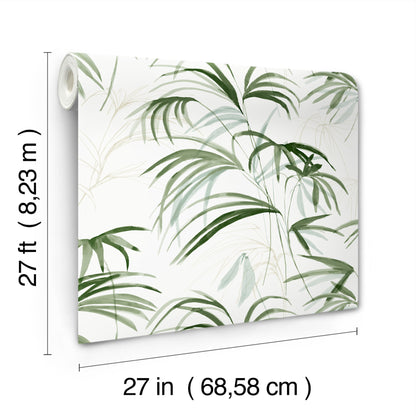 York Wallcoverings Natural Discovery Inky Green Palms Wallpaper Tropical Botanical Greens   - NT6121