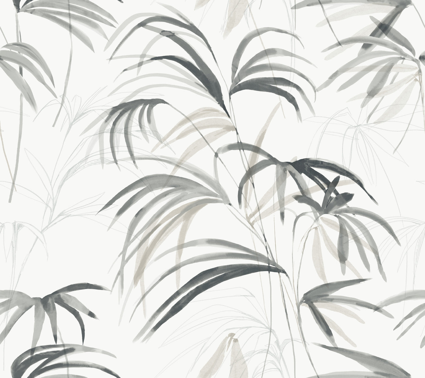 York Wallcoverings Natural Discovery Inky Black Palms Wallpaper Tropical Botanical Blacks   - NT6123