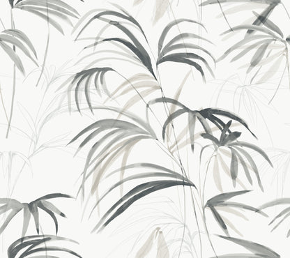 York Wallcoverings Natural Discovery Inky Black Palms Wallpaper Tropical Botanical Blacks   - NT6123