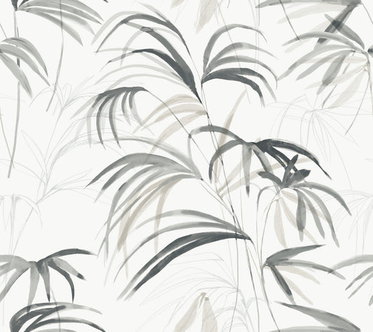 York Wallcoverings Natural Discovery Inky Black Palms Wallpaper Tropical Botanical Blacks   - NT6123
