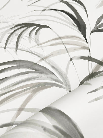 York Wallcoverings Natural Discovery Inky Black Palms Wallpaper Tropical Botanical Blacks   - NT6123