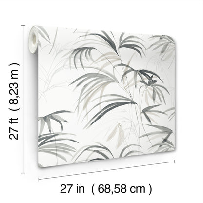 York Wallcoverings Natural Discovery Inky Black Palms Wallpaper Tropical Botanical Blacks   - NT6123