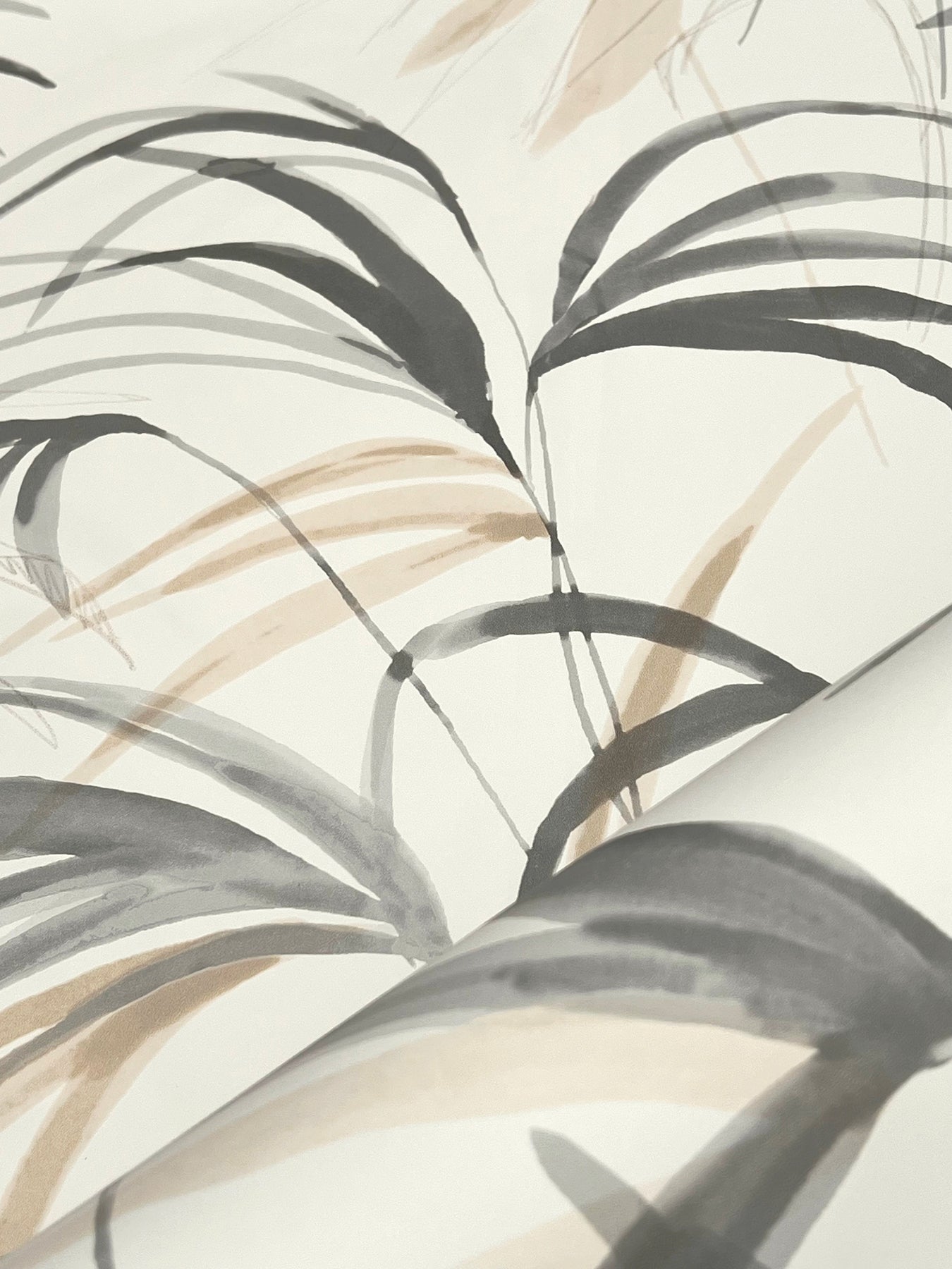 York Wallcoverings Natural Discovery Inky Warm Neutral Palms Wallpaper Tropical Botanical Greys   - NT6125