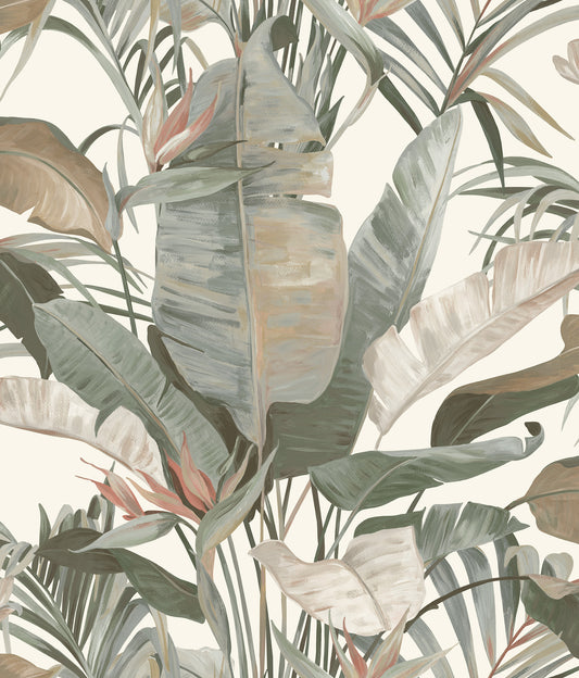 York Wallcoverings Natural Discovery Tropical White Cabana Wallpaper Tropical Tropical Greens   - NT6131