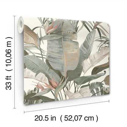 York Wallcoverings Natural Discovery Tropical White Cabana Wallpaper Tropical Tropical Greens   - NT6131