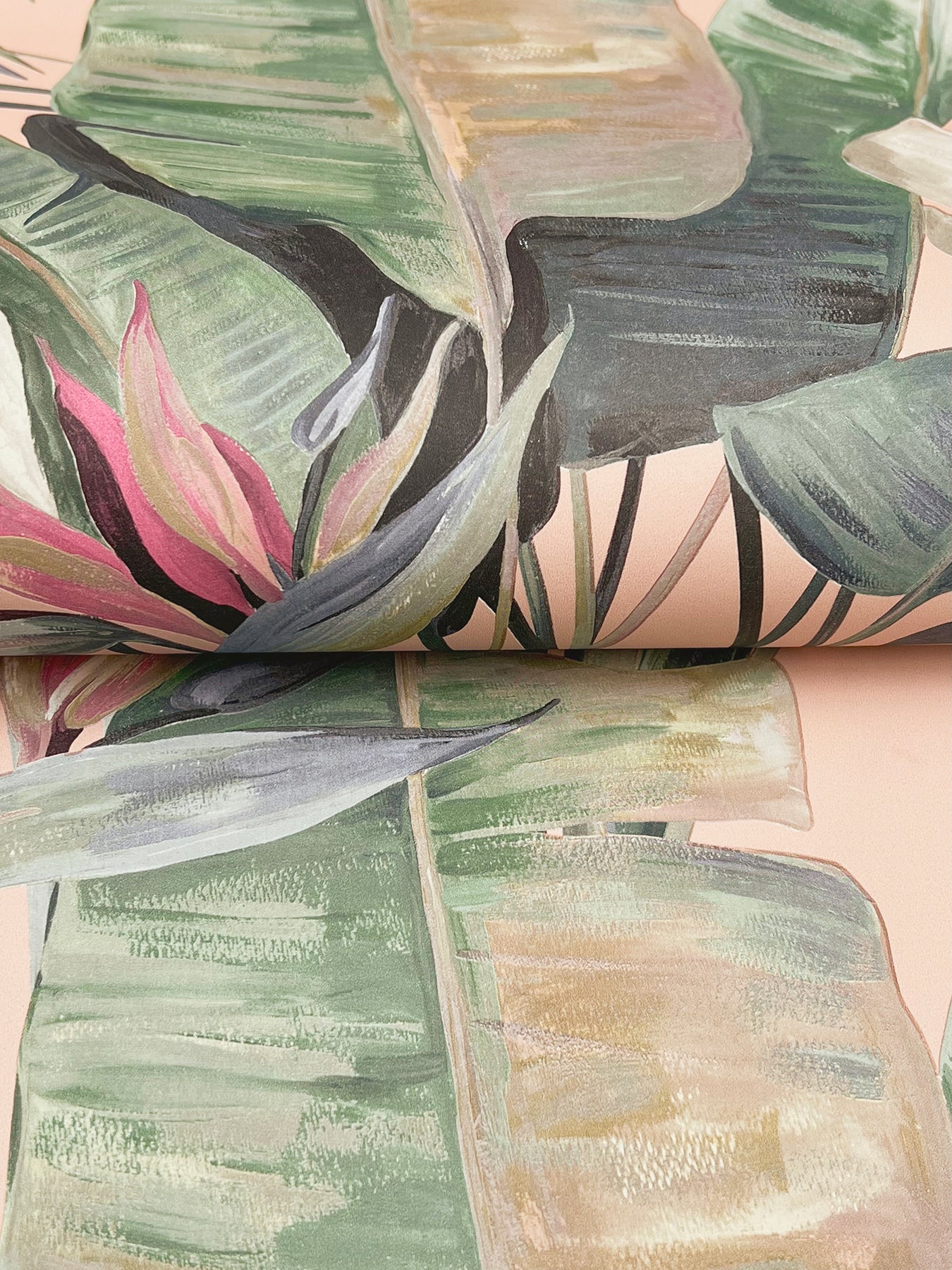 York Wallcoverings Natural Discovery Tropical Coral Cabana Wallpaper Tropical Tropical Pinks   - NT6132