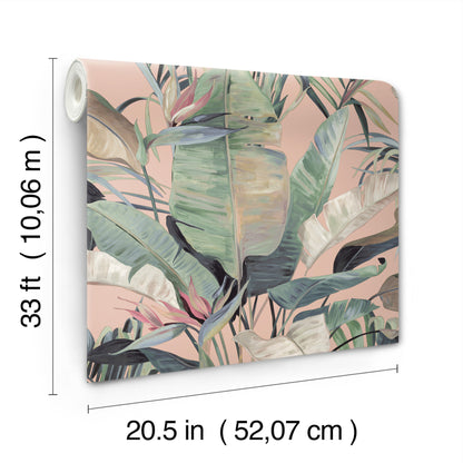 York Wallcoverings Natural Discovery Tropical Coral Cabana Wallpaper Tropical Tropical Pinks   - NT6132