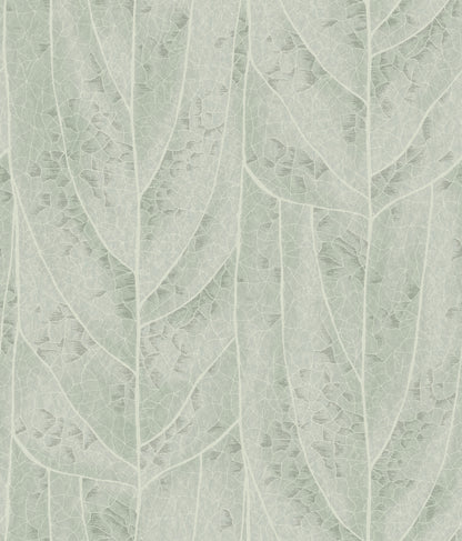 York Wallcoverings Natural Discovery Dicot Spa Leaf Wallpaper Eclectic Botanical Blues   - NT6141