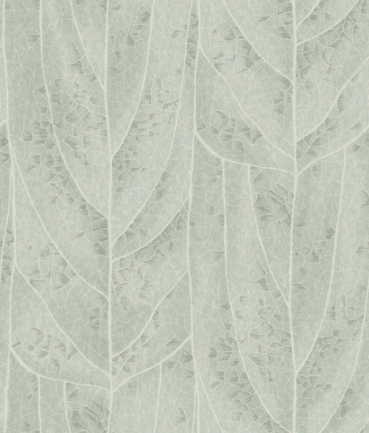 York Wallcoverings Natural Discovery Dicot Spa Leaf Wallpaper Eclectic Botanical Blues   - NT6141