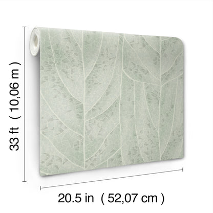 York Wallcoverings Natural Discovery Dicot Spa Leaf Wallpaper Eclectic Botanical Blues   - NT6141