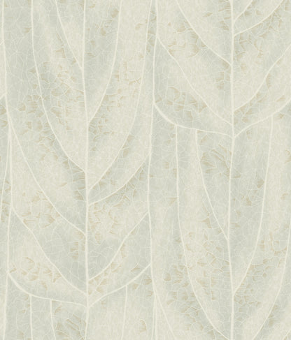York Wallcoverings Natural Discovery Dicot Light Green Leaf Wallpaper Eclectic Botanical Greens   - NT6142