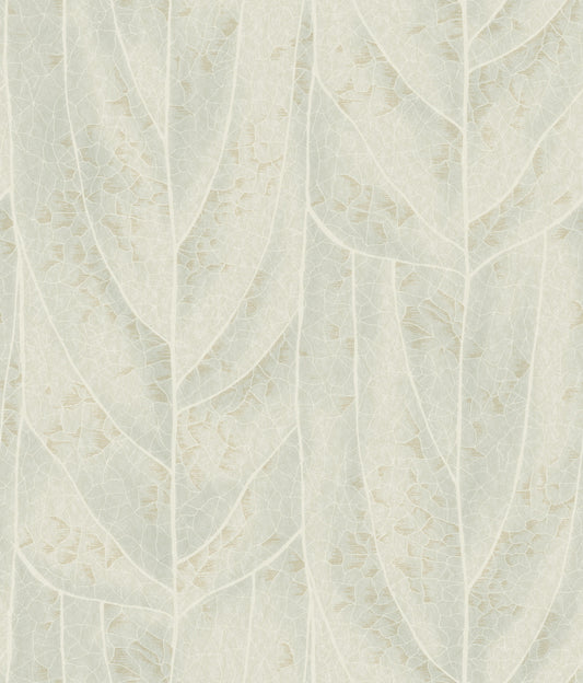 York Wallcoverings Natural Discovery Dicot Light Green Leaf Wallpaper Eclectic Botanical Greens   - NT6142