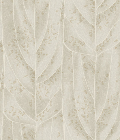 York Wallcoverings Natural Discovery Dicot Beige Leaf Wallpaper Eclectic Botanical Beiges   - NT6144