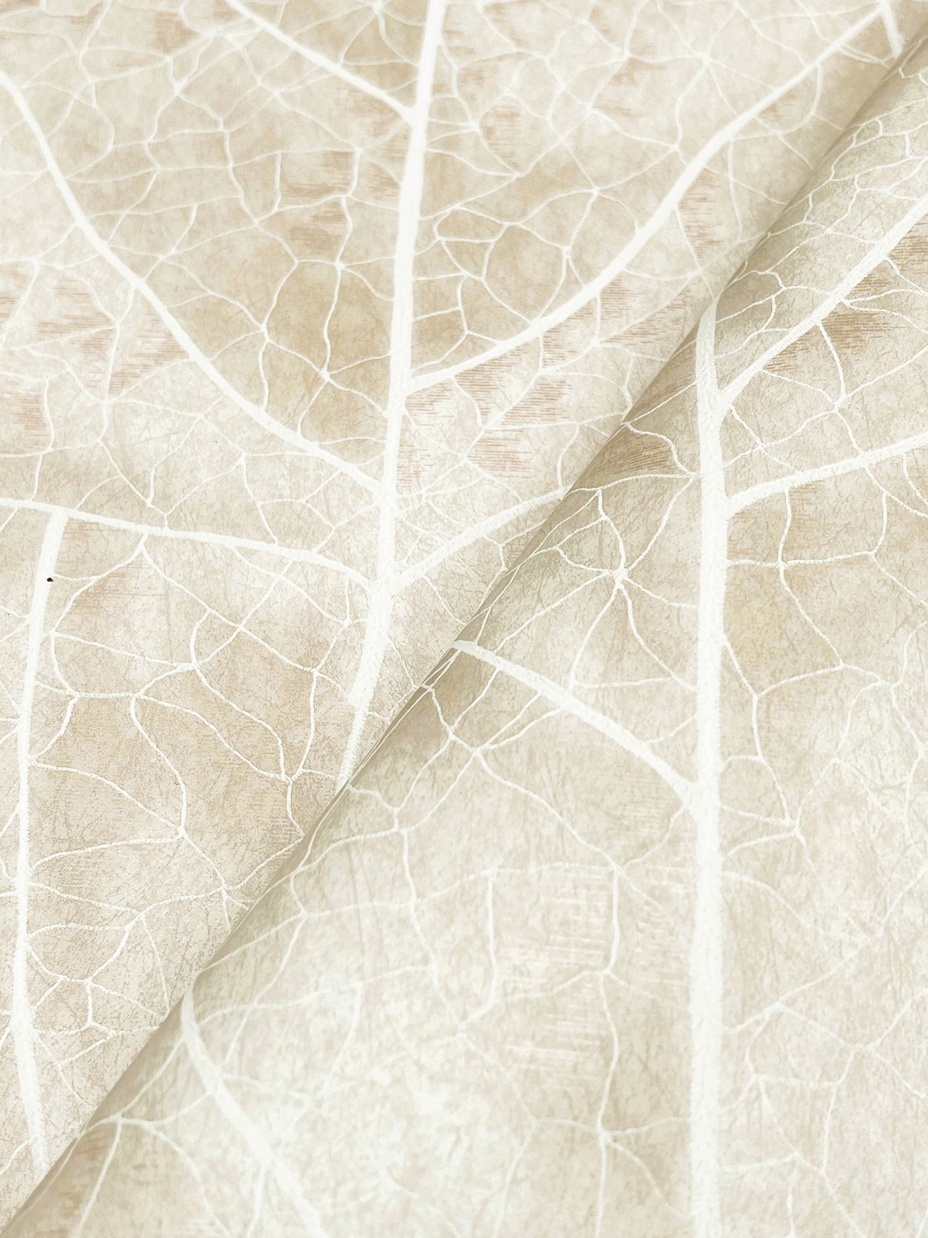 York Wallcoverings Natural Discovery Dicot Beige Leaf Wallpaper Eclectic Botanical Beiges   - NT6144