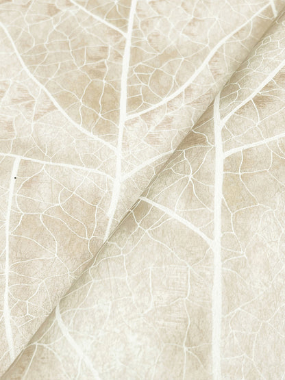 York Wallcoverings Natural Discovery Dicot Beige Leaf Wallpaper Eclectic Botanical Beiges   - NT6144