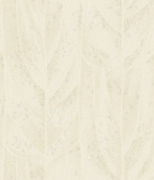 York Wallcoverings Natural Discovery Dicot Pearl Leaf Wallpaper Eclectic Botanical Whites and Off-Whites   - NT6145