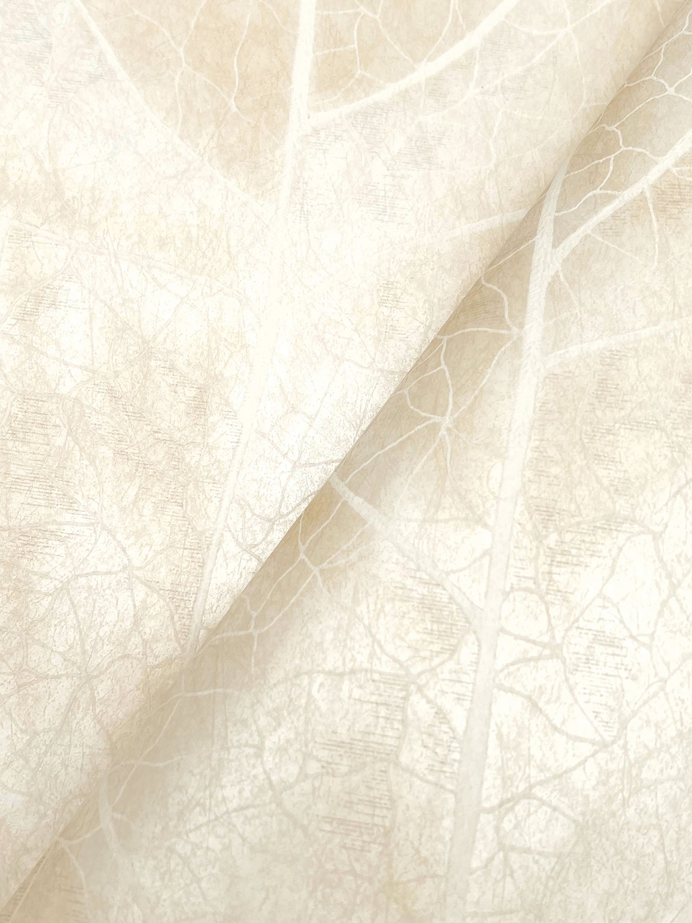 York Wallcoverings Natural Discovery Dicot Pearl Leaf Wallpaper Eclectic Botanical Whites and Off-Whites   - NT6145