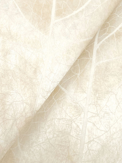 York Wallcoverings Natural Discovery Dicot Pearl Leaf Wallpaper Eclectic Botanical Whites and Off-Whites   - NT6145