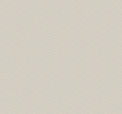 York Wallcoverings Natural Discovery Elevated Taupe Waves Wallpaper Modern Sculptured Finishes Browns   - NT6153