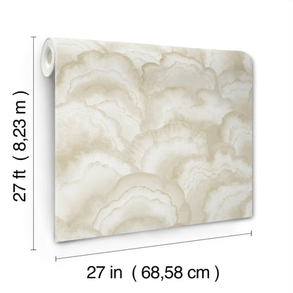 York Wallcoverings Natural Discovery Abalone Sand Fans Wallpaper Transitional Bohemian Beiges   - NT6182