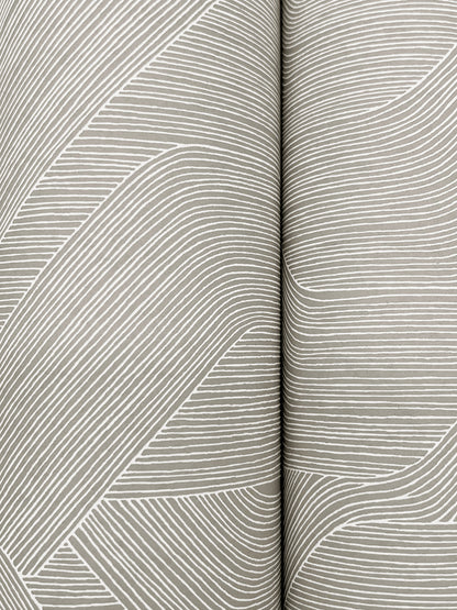 York Wallcoverings Natural Discovery Fine Line Grey Geometric Wallpaper Transitional Geometrics Greys   - NT6191