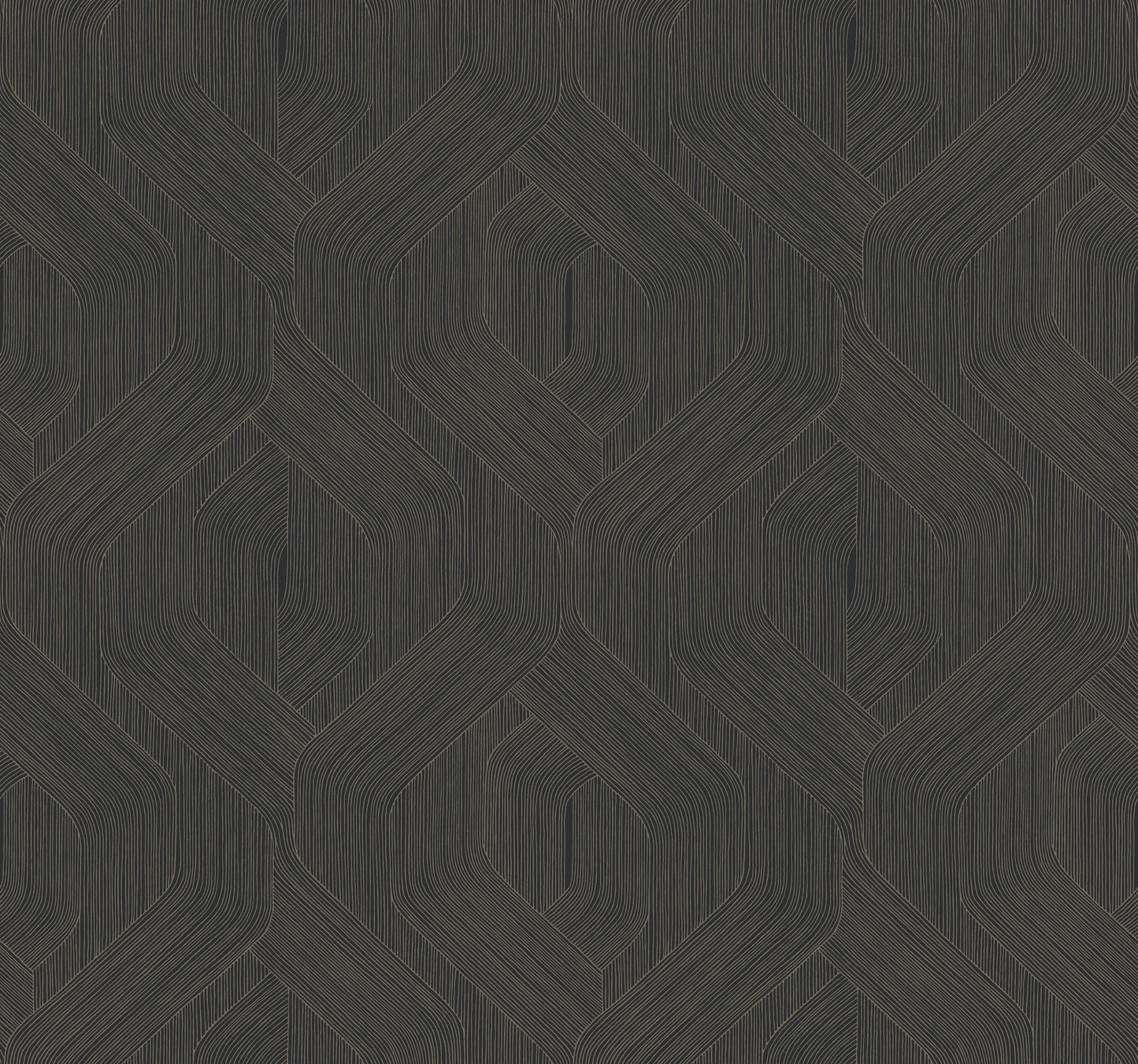 York Wallcoverings Natural Discovery Fine Line Black Geometric Wallpaper Transitional Geometrics Blacks   - NT6192