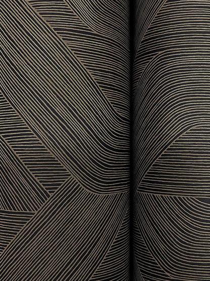 York Wallcoverings Natural Discovery Fine Line Black Geometric Wallpaper Transitional Geometrics Blacks   - NT6192