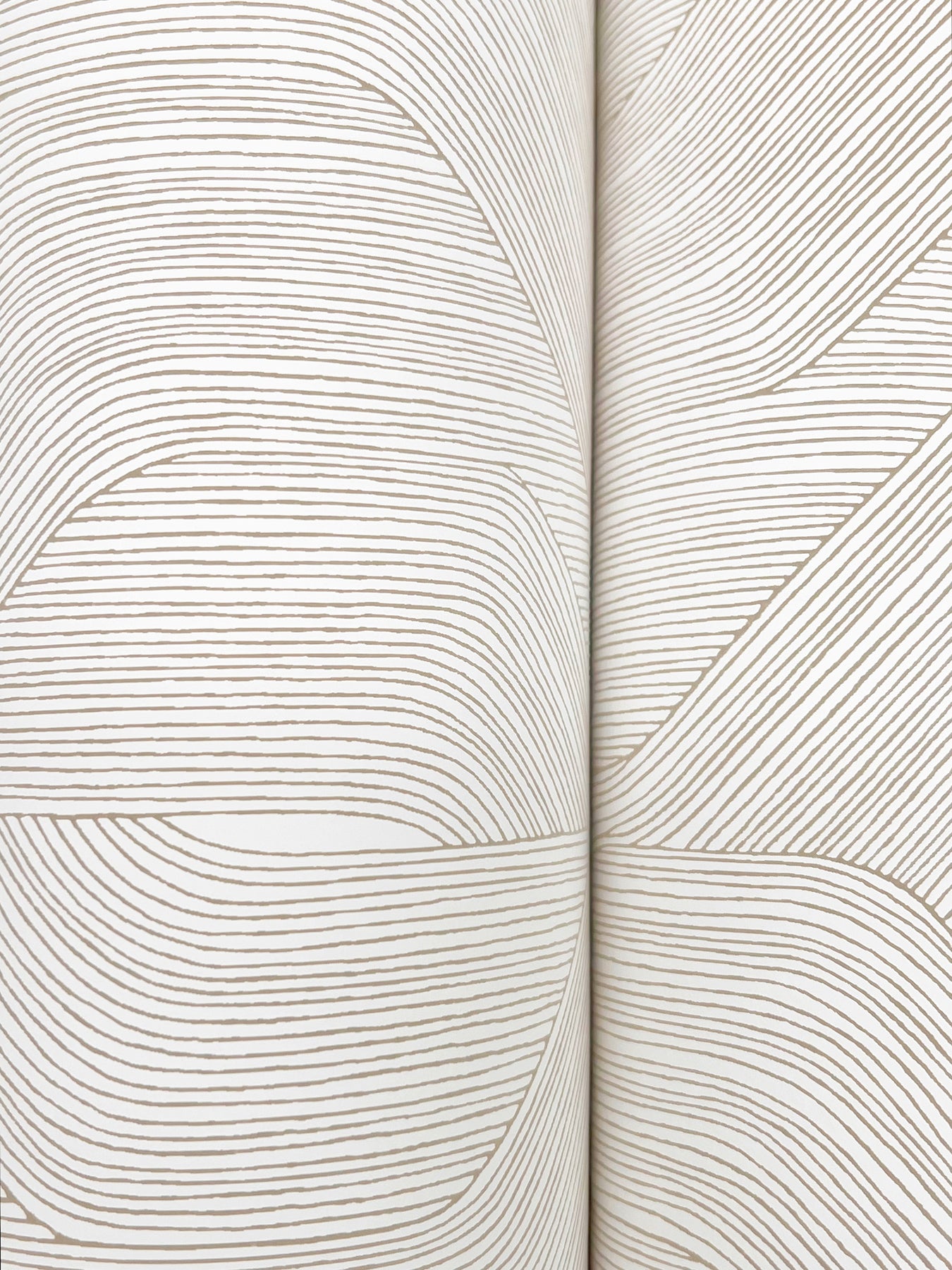 York Wallcoverings Natural Discovery Fine Line Taupe Geometric Wallpaper Transitional Geometrics Whites and Off-Whites   - NT6193