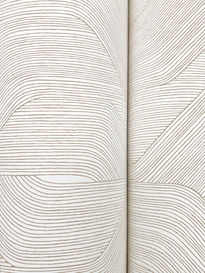 York Wallcoverings Natural Discovery Fine Line Taupe Geometric Wallpaper Transitional Geometrics Whites and Off-Whites   - NT6193