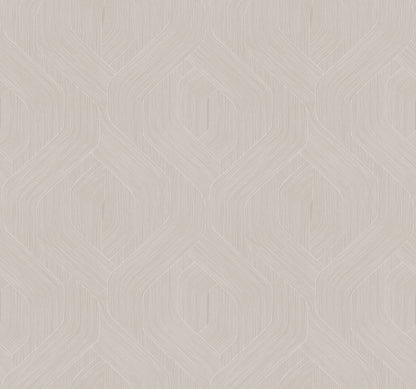 York Wallcoverings Natural Discovery Fine Line Taupe Geometric Wallpaper Transitional Geometrics Browns   - NT6195