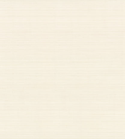 York Wallcoverings Shimmering Finishes Quiet Vista Sandstone Wallpaper Traditional Faux Grasscloth Beiges   - NT6208N