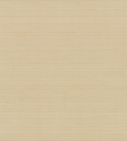 York Wallcoverings Shimmering Finishes Quiet Vista Desert Wallpaper Traditional Faux Grasscloth Browns   - NT6209N