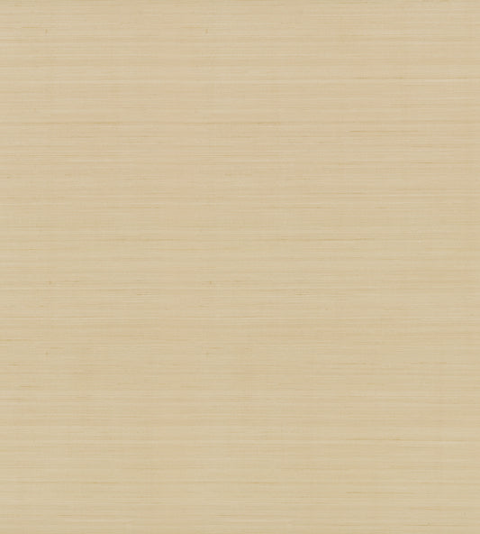 York Wallcoverings Shimmering Finishes Quiet Vista Desert Wallpaper Traditional Faux Grasscloth Browns   - NT6209N