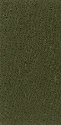 KRAVET BASICS VINYL/FAUX LEATHER  GREEN,,   - NUOSTRICH.30.0