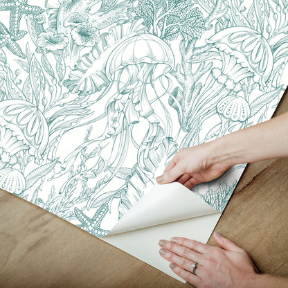 York Wallcoverings NuWallpaper Under the Sea Teal Peel and Stick Wallpaper Botanical Nautical Teal  Current Peel & Stick - NUS6495