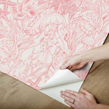 York Wallcoverings NuWallpaper Under the Sea Coral Peel and Stick Wallpaper Botanical Nautical Coral  Current Peel & Stick - NUS6496