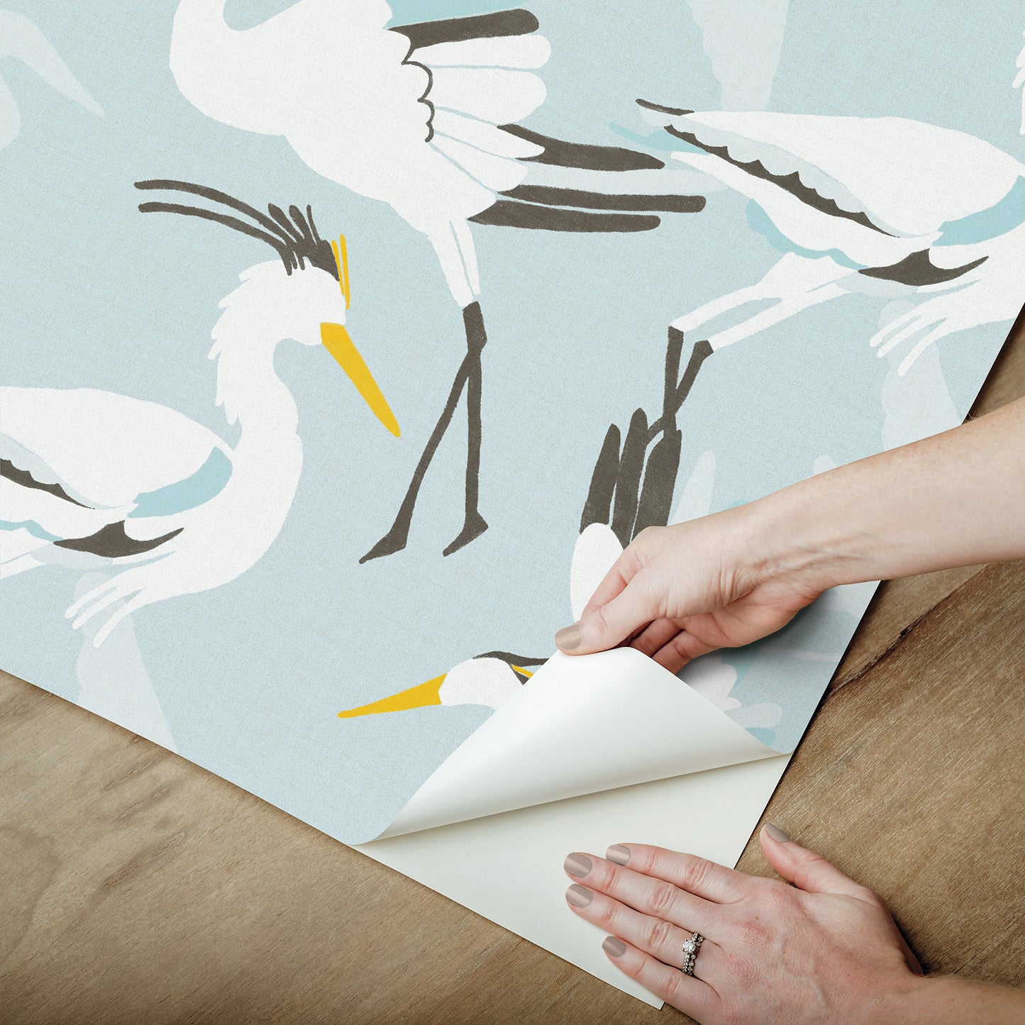 York Wallcoverings NuWallpaper Coastal Wings Blue Peel and Stick Wallpaper Animals Nautical Blue  Current Peel & Stick - NUS6501