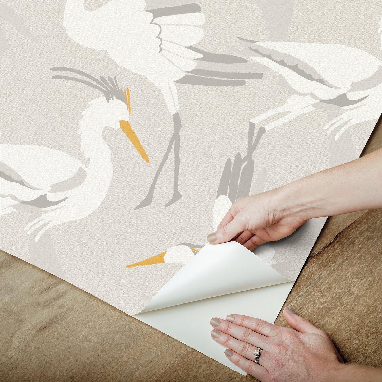 York Wallcoverings NuWallpaper Coastal Wings Taupe Peel and Stick Wallpaper Animals Nautical Taupe  Current Peel & Stick - NUS6502