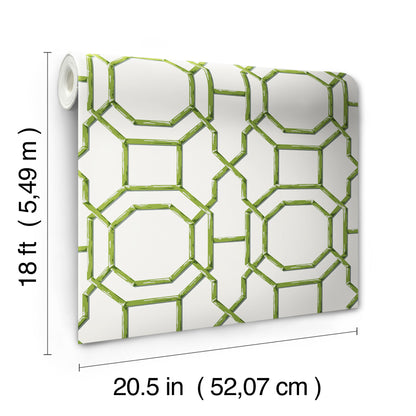 York Wallcoverings NuWallpaper Sanya Green Peel and Stick Wallpaper Graphics Nautical Green  Current Peel & Stick - NUS6505