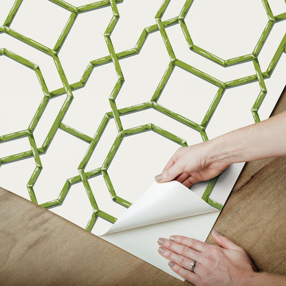 York Wallcoverings NuWallpaper Sanya Green Peel and Stick Wallpaper Graphics Nautical Green  Current Peel & Stick - NUS6505