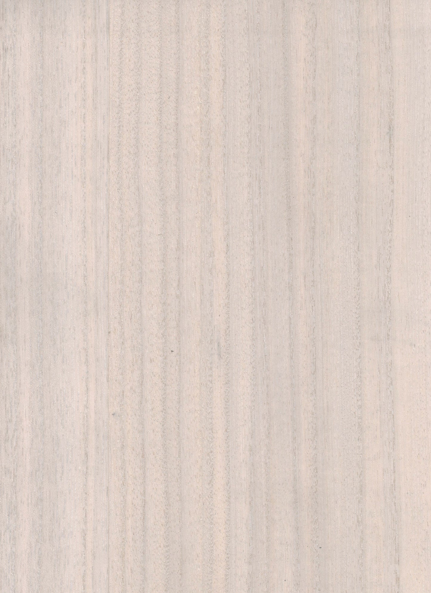 NICHOLASJOHN INC. Natural - Textured Wallcoverings  Wood Veneer      - NJ25NV1013