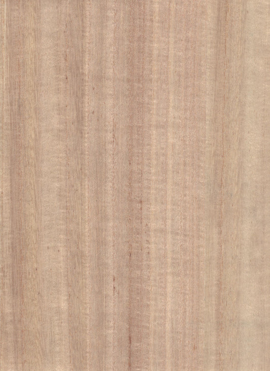 NICHOLASJOHN INC. Natural - Textured Wallcoverings 100% Wood Veneer      - NJ25NV1014