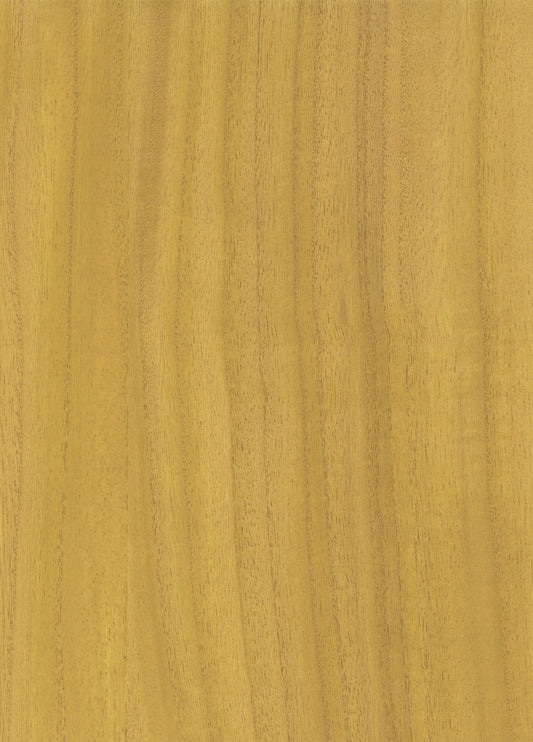 NICHOLASJOHN INC. Natural - Textured Wallcoverings Wood Veneer      - NJ25NV1041